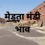 मेड़ता मंडी भाव