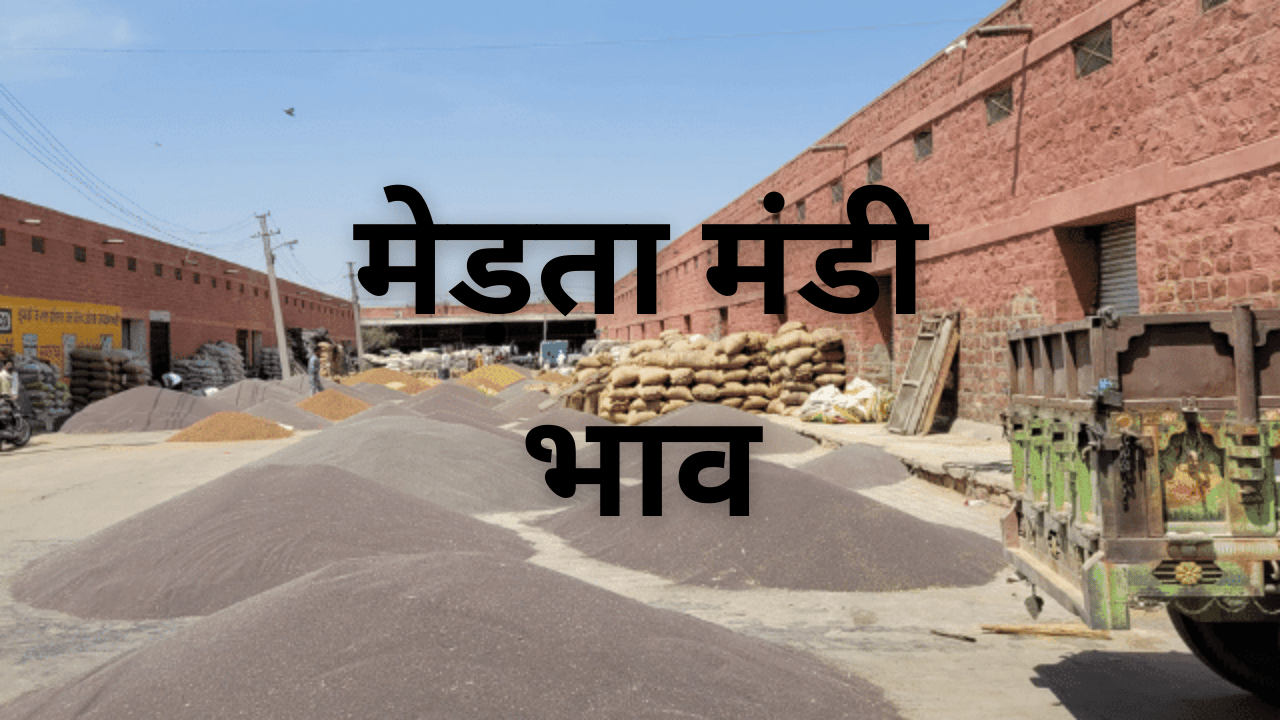 मेड़ता मंडी भाव